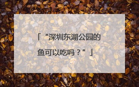 “深圳东湖公园的鱼可以吃吗？”